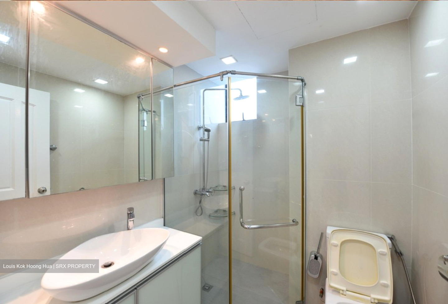 Spring Grove (D10), Condominium #492330951